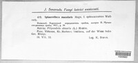Image Associated With the Occurence